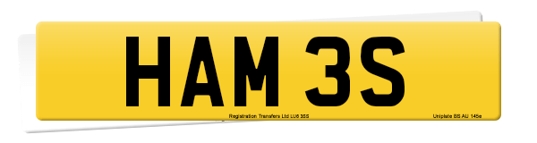 Registration number HAM 3S